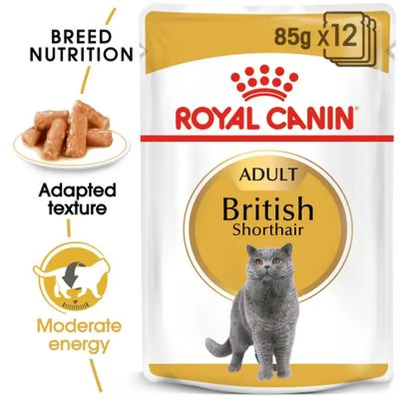 Royal Canin British Shorthair Adult in Gravy - Saver Pack: 24 x 85g