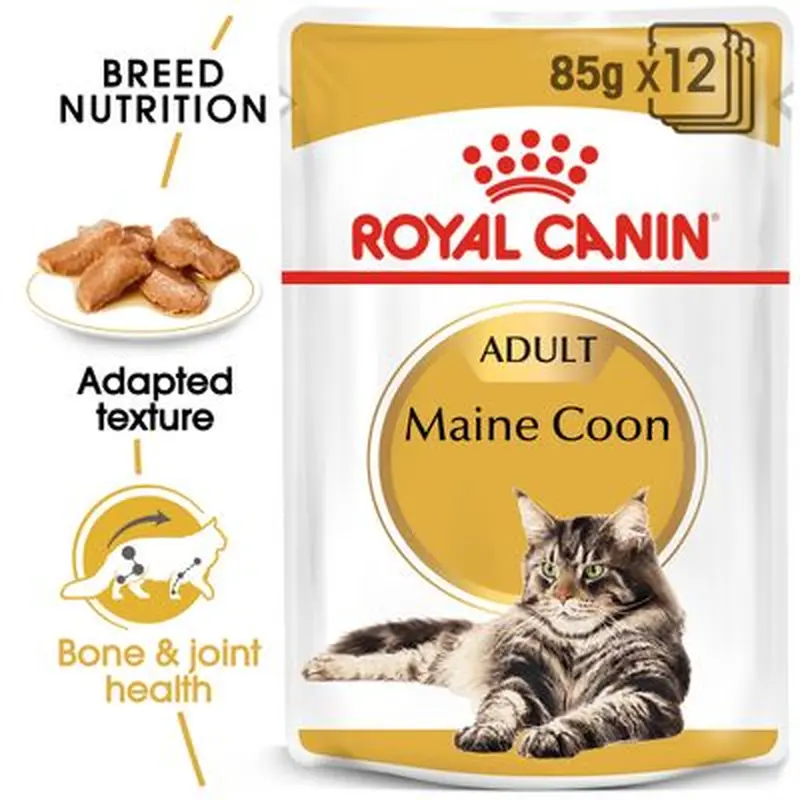 Royal Canin Maine Coon Adult in Gravy - Saver Pack: 24 x 85g