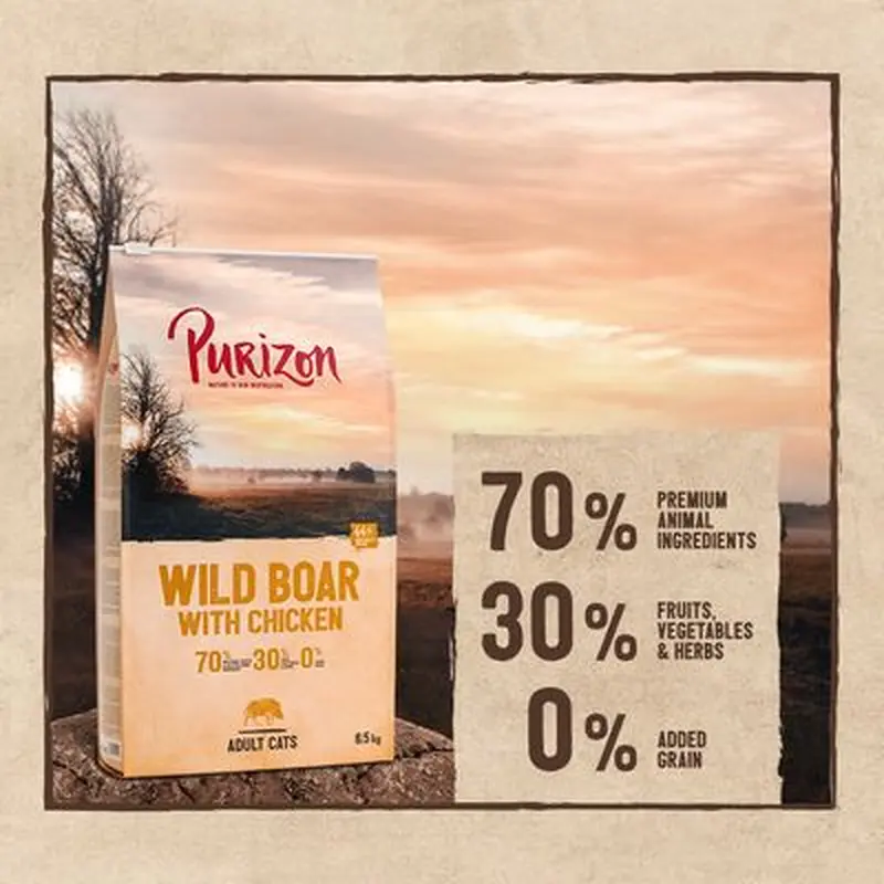 Purizon Adult Grain-Free Wild Boar with Chicken - 400g