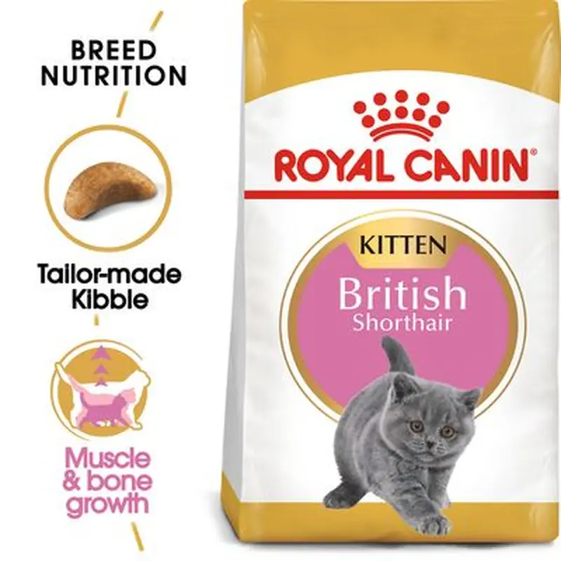 Royal Canin British Shorthair Kitten - 2kg