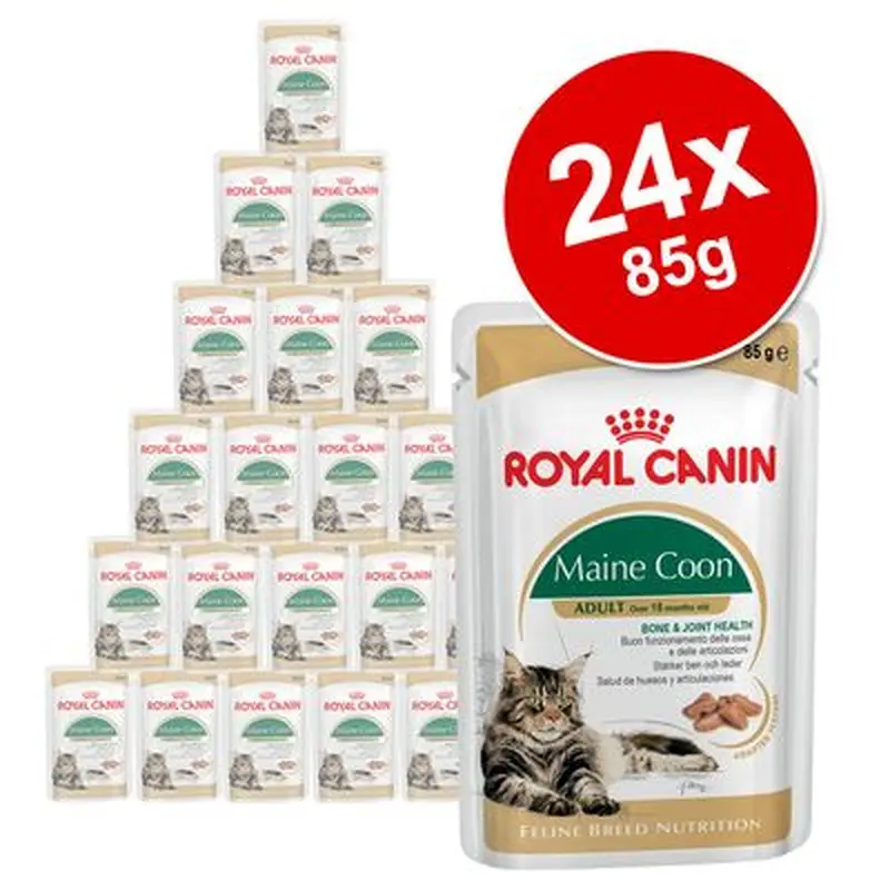 Royal Canin Breed Wet Cat Food Saver Pack 24 x 85g - Maine Coon