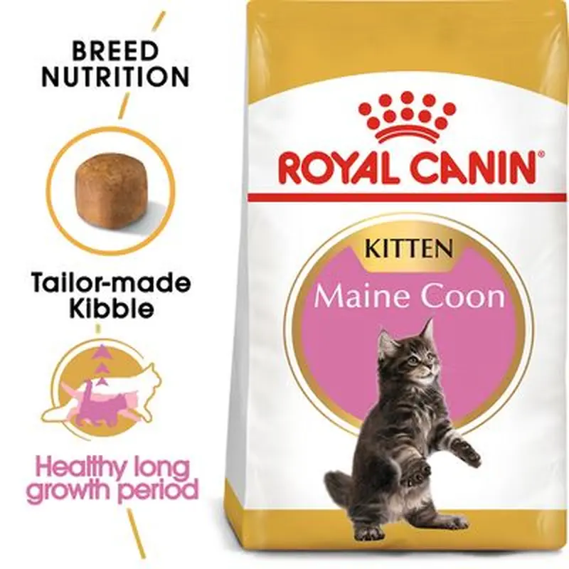 Royal Canin Maine Coon Kitten - 4kg