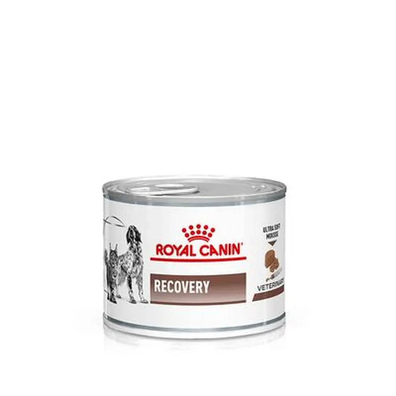 Royal Canin Veterinary Dog & Cat  Recovery Mousse - Saver Pack: 24 x 195g