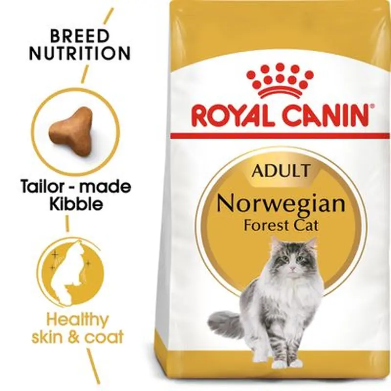Royal Canin Norwegian Forest Cat Adult - 10kg