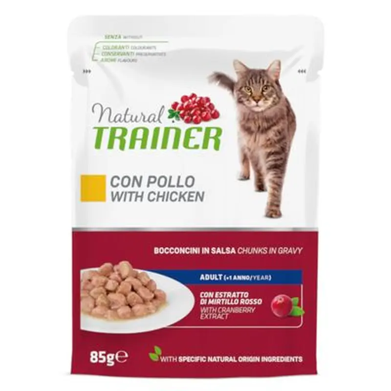 Nova Foods Natural Trainer Adult - Salmon (4 x 85g)