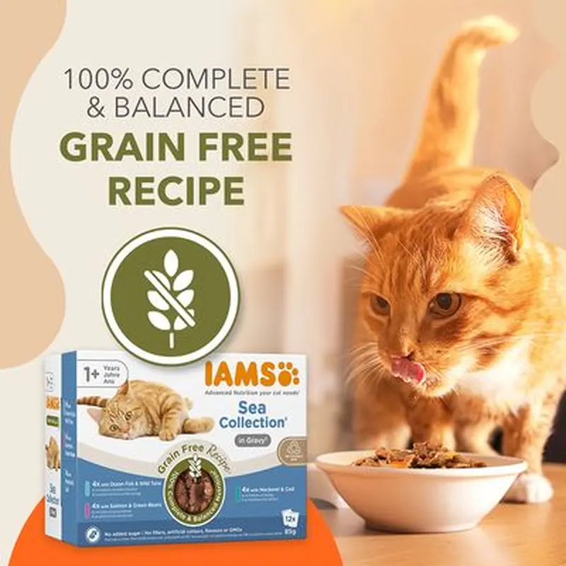 IAMS Advanced Nutrition Grain Free - Sea Collection in Gravy - 12 x 85g