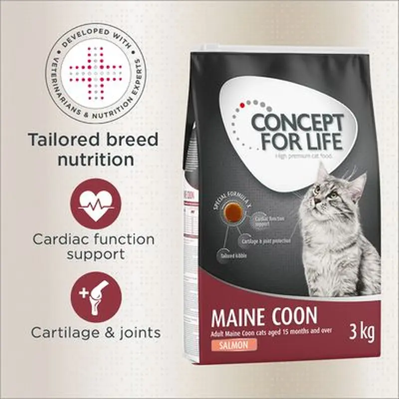 Concept for Life Maine Coon Adult Salmon - Grain-Free - Economy Pack: 3 x 3kg