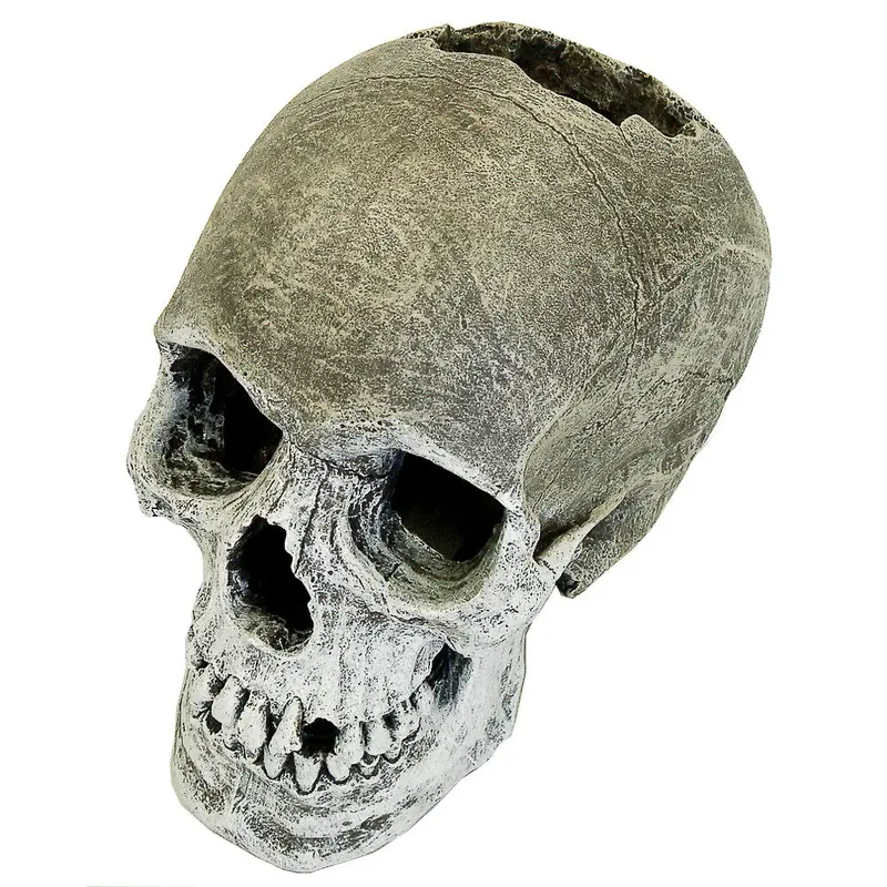 Blue Ribbon Exotic Environments Life-like Human Skull Aquarium Ornament Grey 6 in
