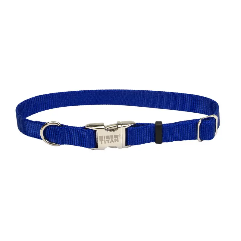Coastal Nylon Adjustable Spectra Collar W/Metal Buckle 1"-Blue 