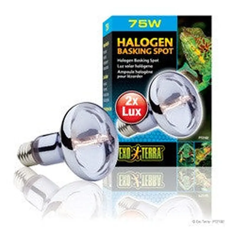 Exo Terra Sun-glo Halogen Lamp 75w Pt2182