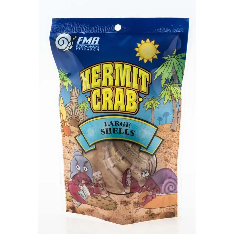 Florida Marine Research Natural Shell Terrarium Ornament Multi-Color 2pk LG