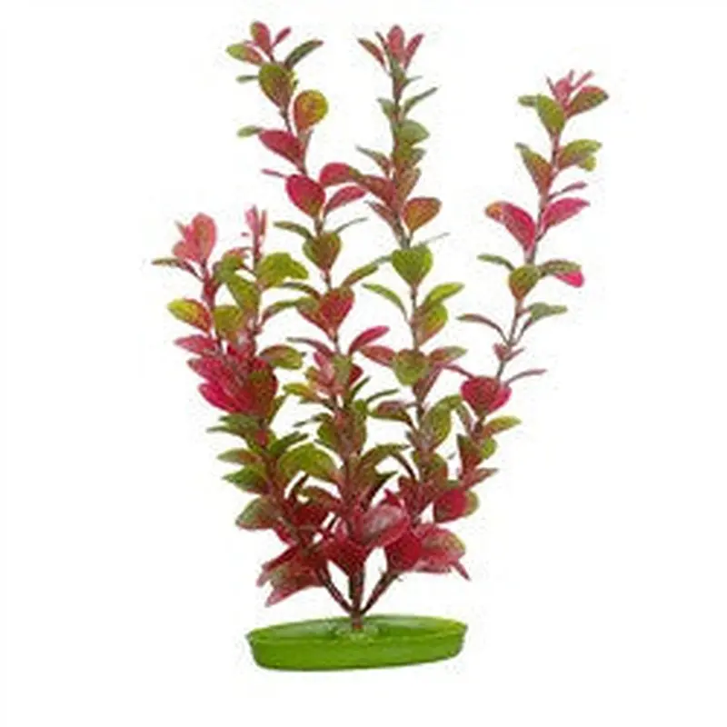 Hagen Marina Aquascaper Red Ludwigia 5in Pp519