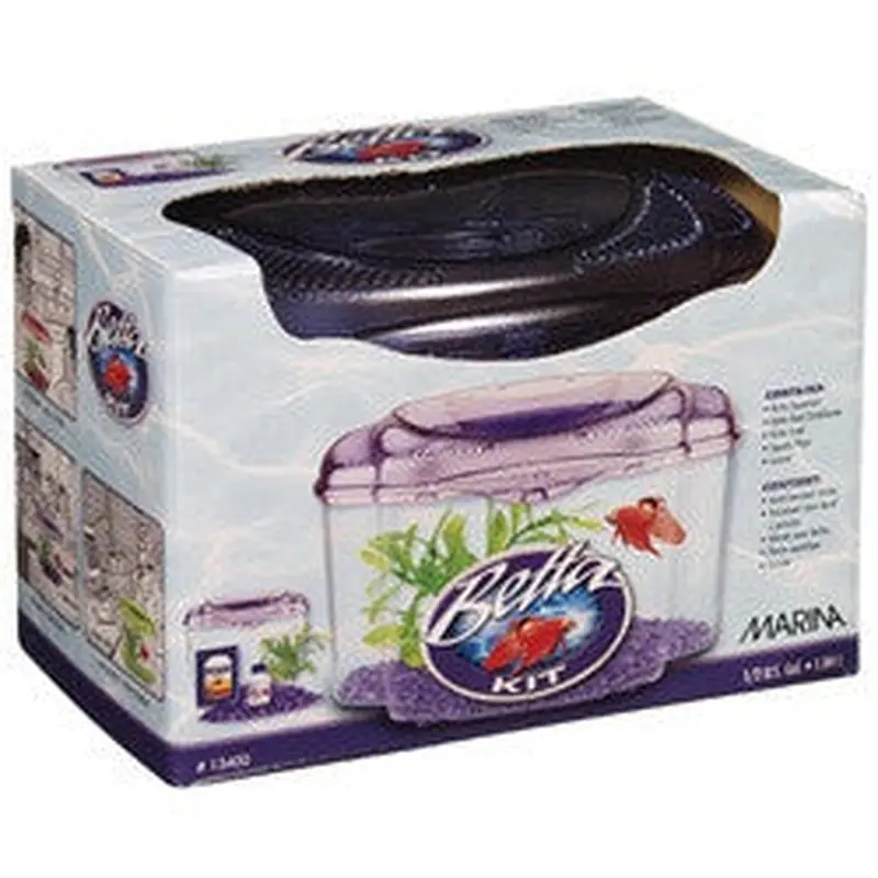 Marina Betta Pals Purple 13400