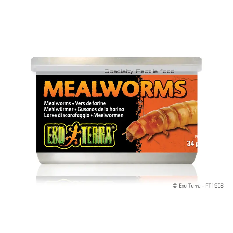Exo Terra Canned Meal Worms, 1.2 oz