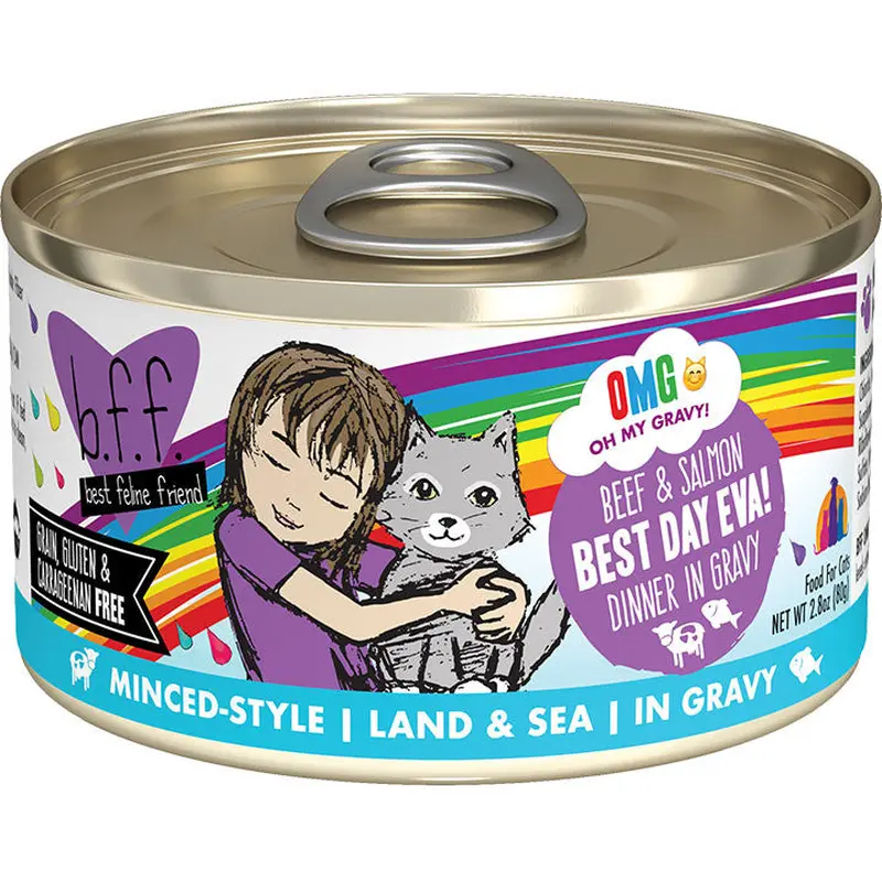 Bff C Best Day Bf Smn 2.8oz
