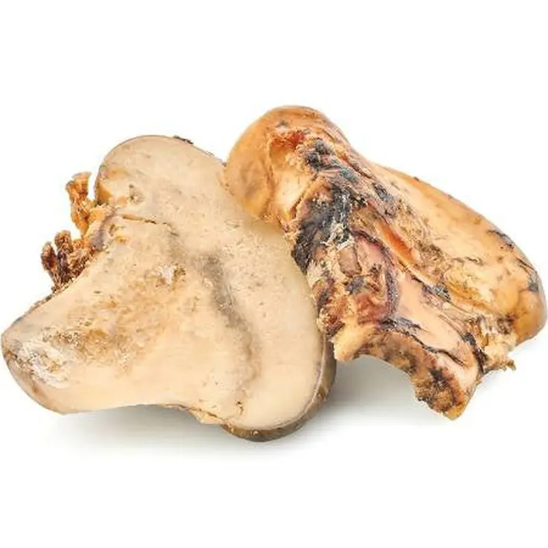 Barkworthies Dog Knuckle Bone Fillet 