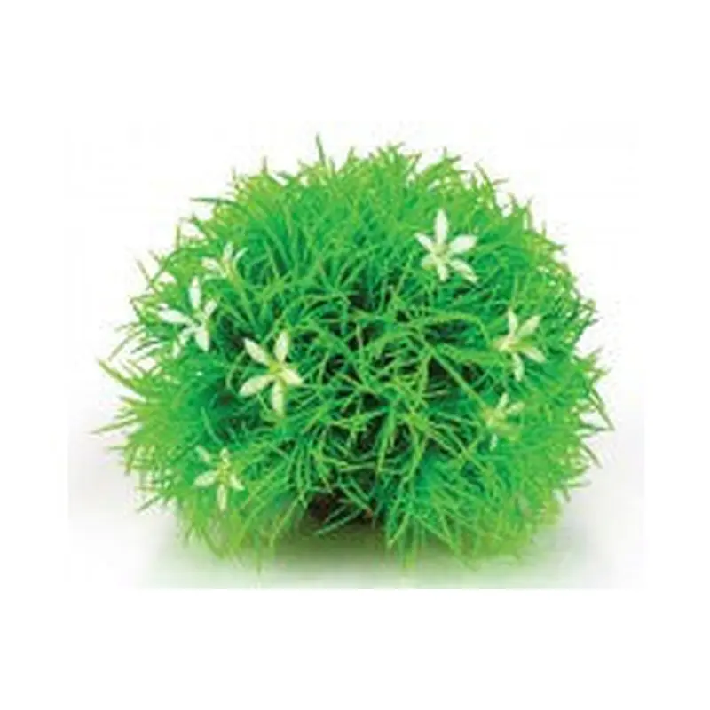 biOrb Flower Ball Topiary with Daisies 