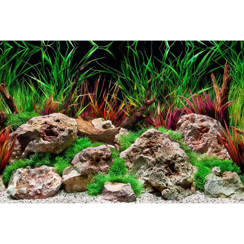 Seaview Double Sided Background Aquawild & Slateways 12 Inches X 50 Feet