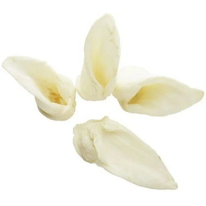 Red Barn Lamb Ears 50/Case 