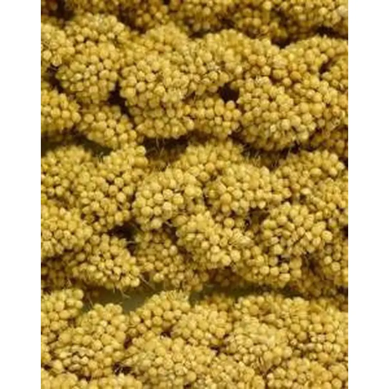 Higgins Spray Millet 5lb 