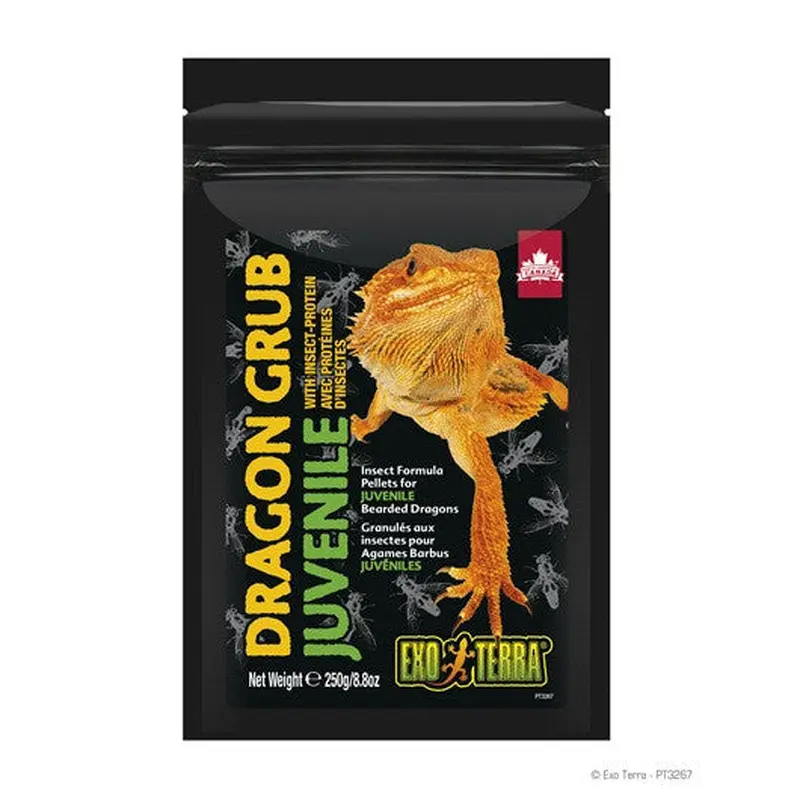 Exo Terra Dragon Grub, Juvenile 8.8oz Pt3267