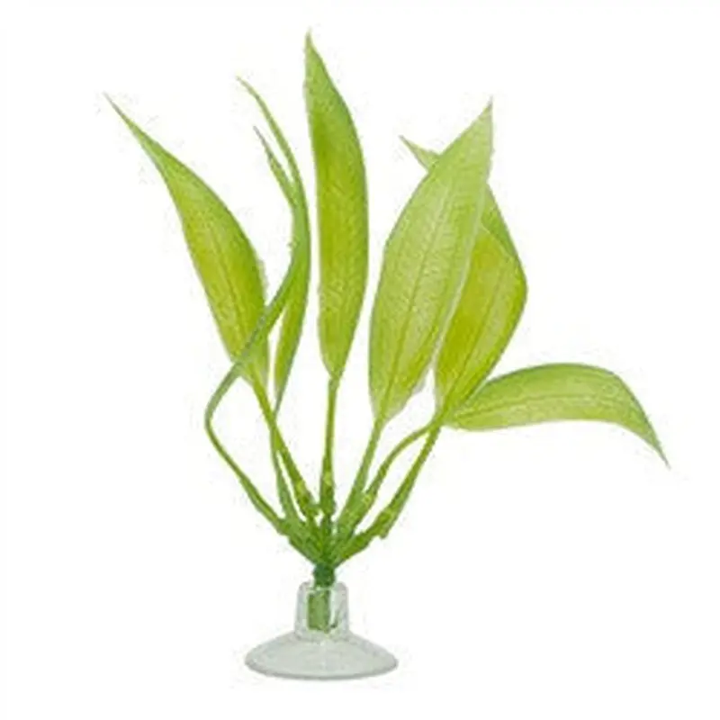 Marina Betta Kit Plant, Amazon Sword 12079