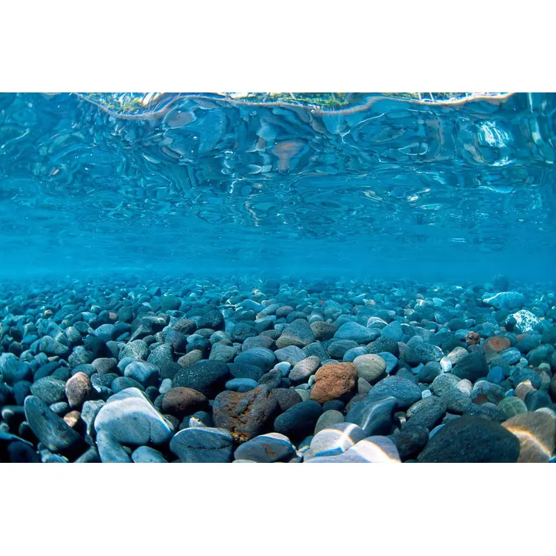 Seaview Double Sided Background River Rock & Sea of Green 24 Inches X 50 Feet