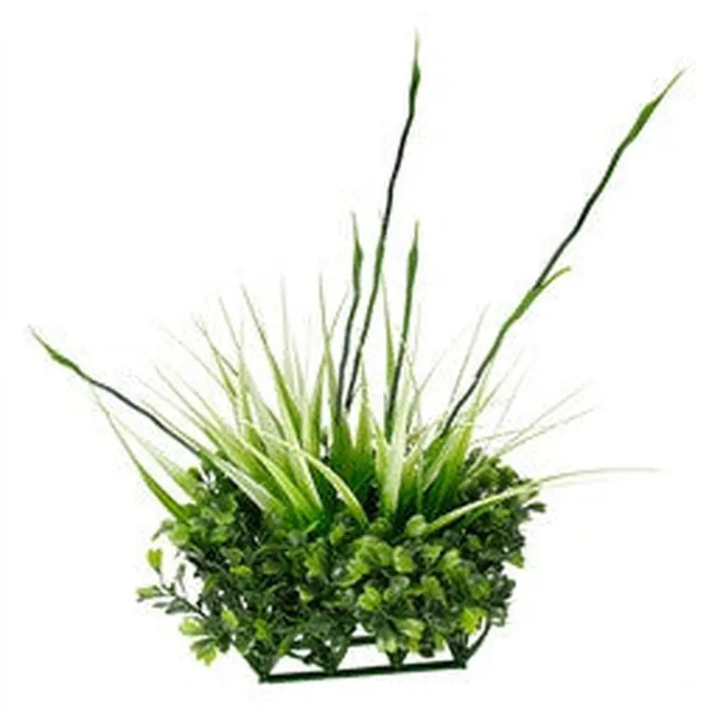 Fluval Chi Boxwood & Tall Grass Ornament 12193