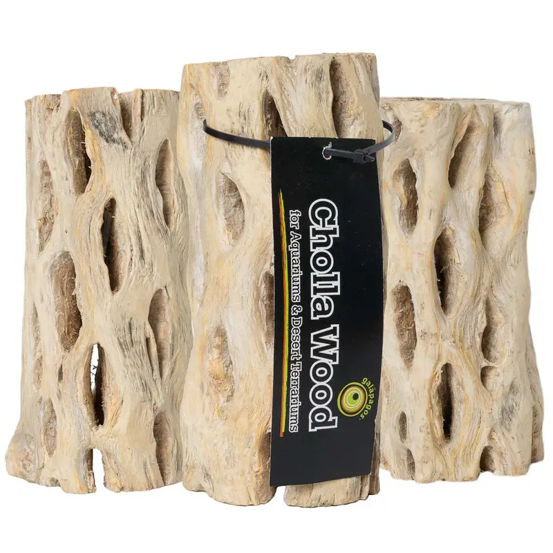Galapagos Cactus Skeleton Cholla Wood Brown 6 in 3 Pieces