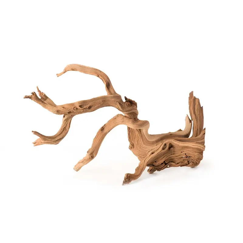 Galapagos Staghorn Wood Manzanita Root Brown 19 in - 24 in