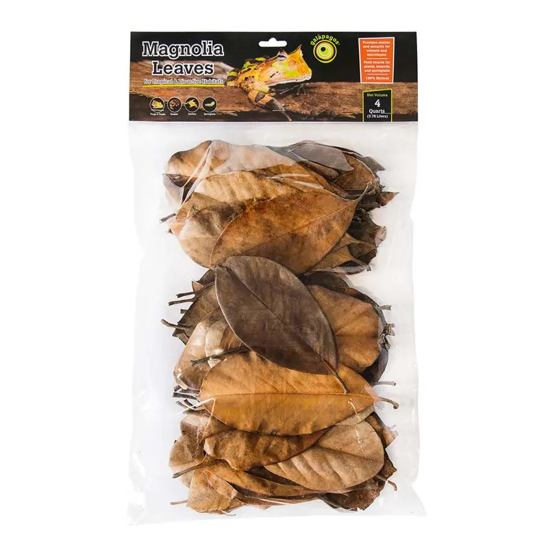 Galapagos Magnolia Leaves for Tropical & Bioactive Habitats Brown 4 qt