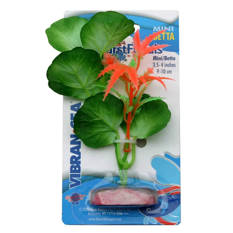 Blue Ribbon Colorburst Florals Broad Lily Leaf Aquarium Plant Green Mini