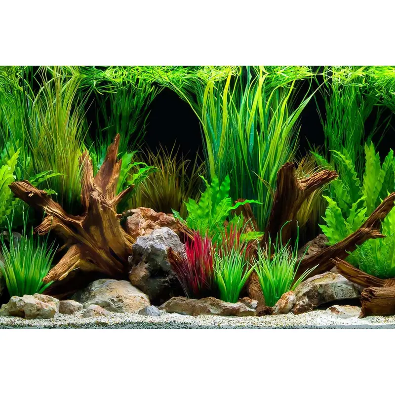 Seaview Double Sided Background Wonderscape & Cloudstone 24 Inches X 50 Feet