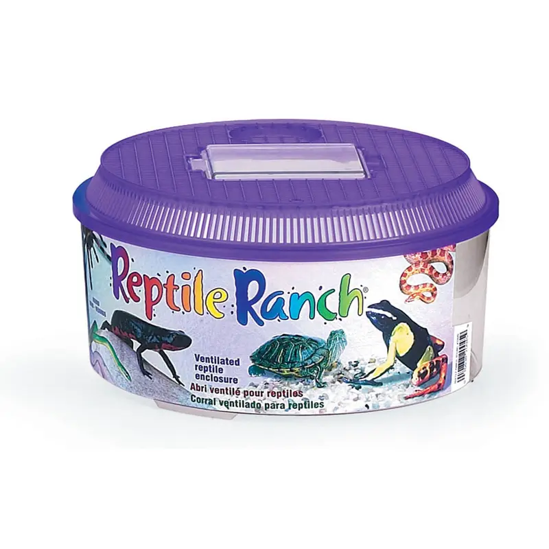 Lees Round Reptile Ranch Purple, Clear 10.37 in x 5.5 in