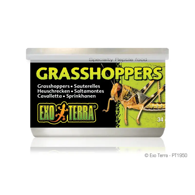 Exo Terra Canned Grasshoppers, 1.2 oz