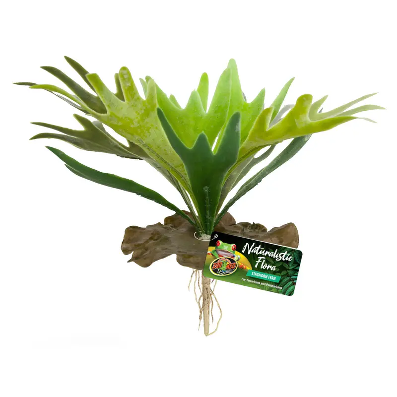 Zoo Med Naturalistic Flora Staghorn Fern Terrarium Plant Green, Brown