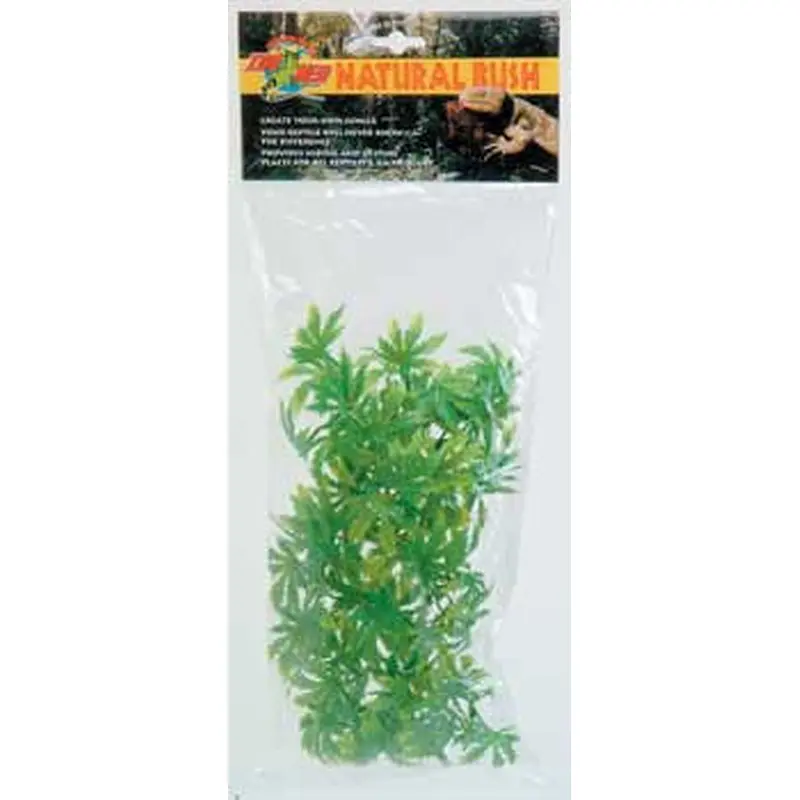Zoo Med Medium Borneo Star 