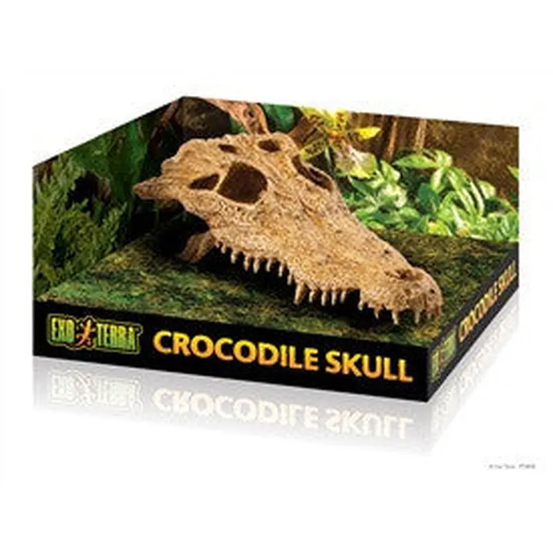 Exo Terra Terrarium Decor, Croc Skull Pt2856