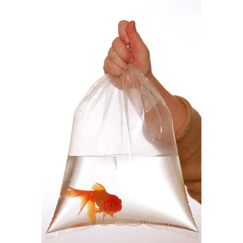 Rutan Poly Industries Fish Bags Clear 3mm 12 InchesX 20 Inches, 500 Bag