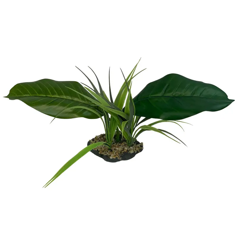Komodo Woodland Canopy Plant 42cm