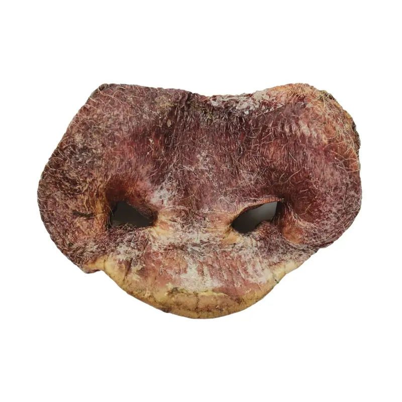 Vital Essentials Freeze Dried Pig Snout