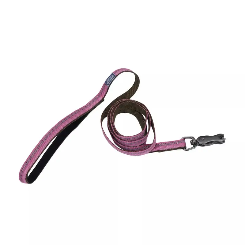 Coastal K9 Explorer 6ft Long 5/8in Reflective Dog Leash with Scissor Snap Rosebud