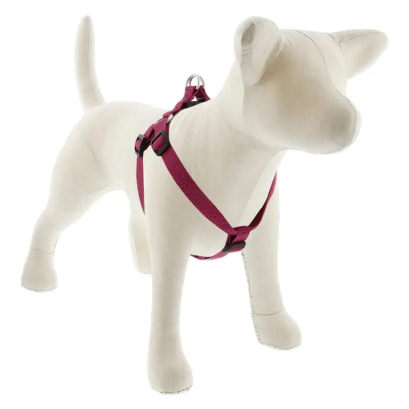 Lupine Pet Dog 3/4 In Wide 20-30 In Step  In Harness Eco Berry