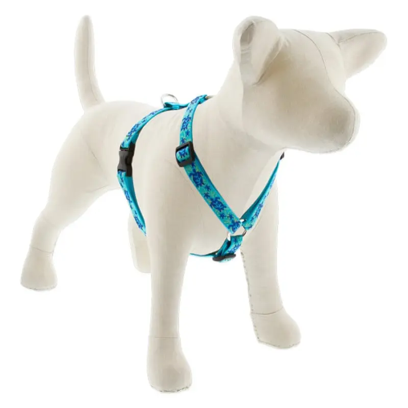 Lupine Pet Dog 3/4 In In Wide 14-24 In Roman Harness Original Designs Turtle Reef