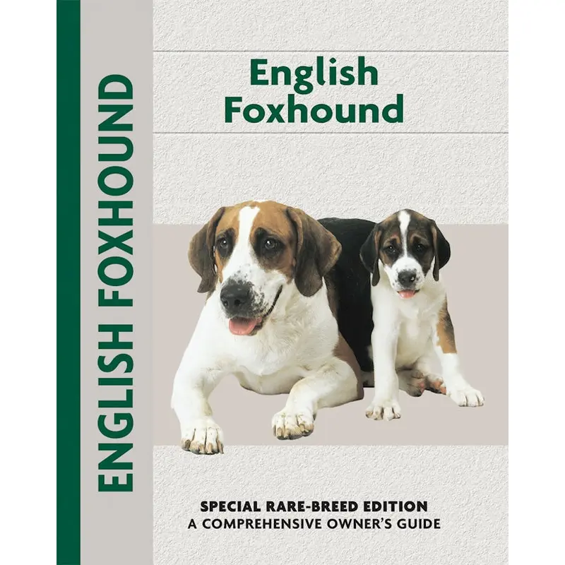 English Foxhound