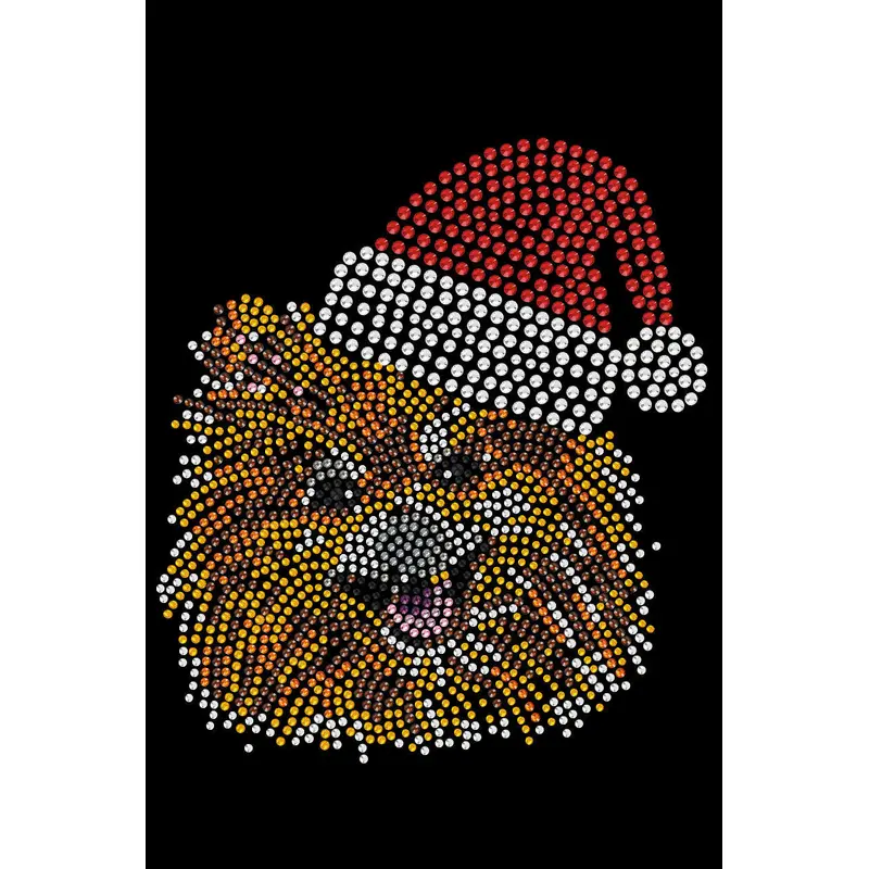 Pomeranian with Santa Hat - Custom Tutu