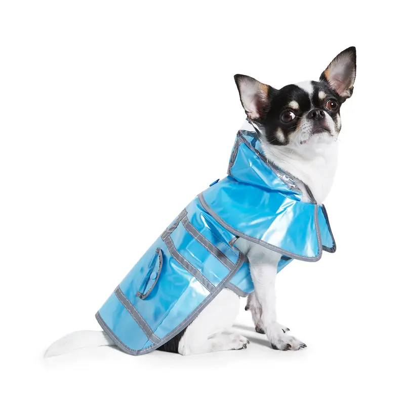 Jelly Raincoat