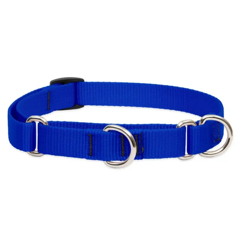 Lupine Pet Dog 3/4 In Wide 14-20 In Martingale Collar Basic Blue