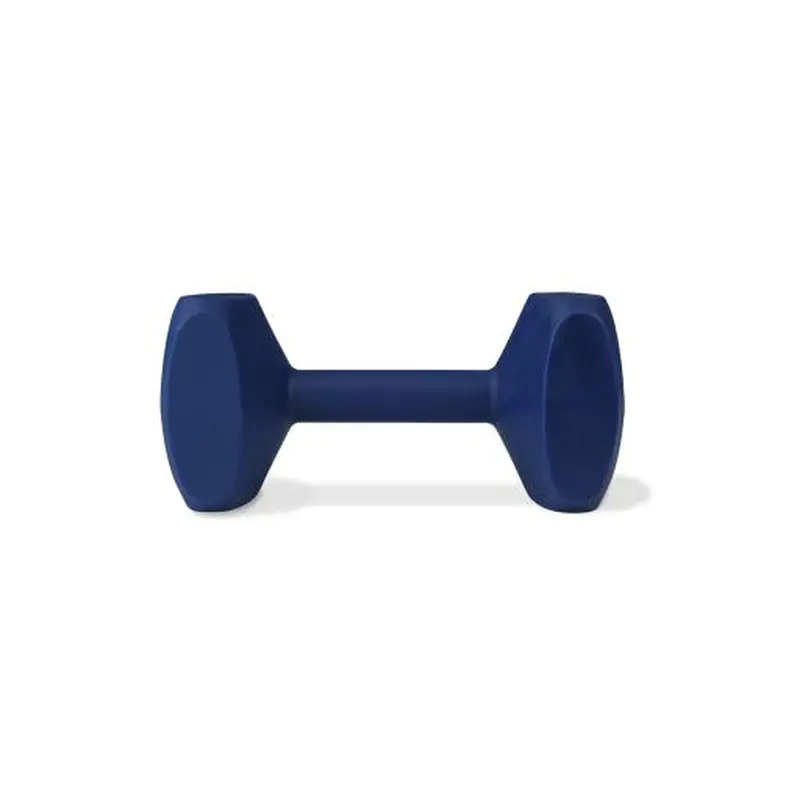 Coachi Small Dumbbell Weight for Dog Training