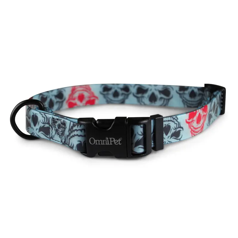 Redskull Attitudz Biothane Dog Collar / Lead